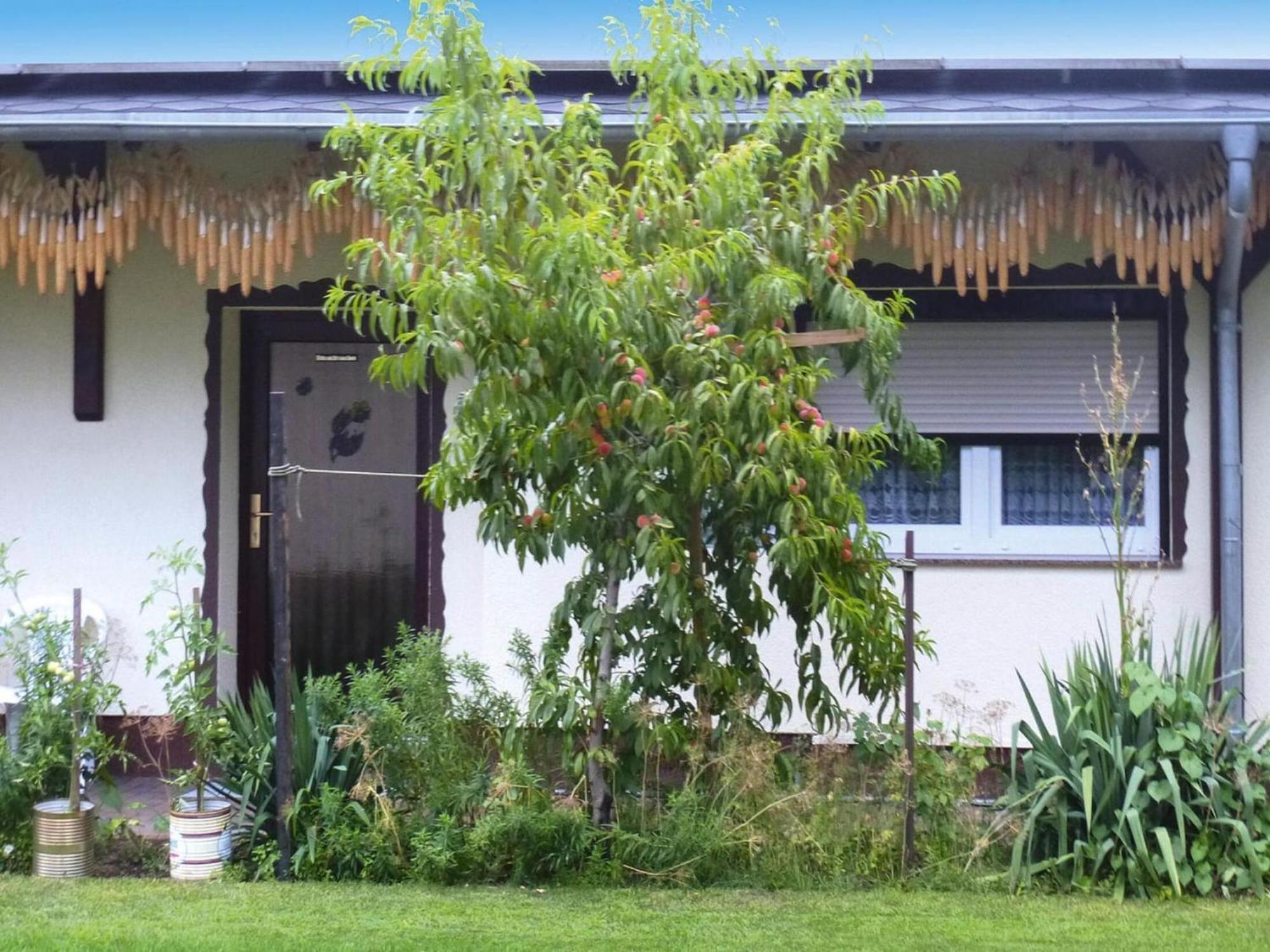 Bungalow In L Bben With A Terrace Lübben Exterior foto